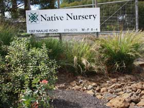 Photograph: Native Nursery, LLC Nursery